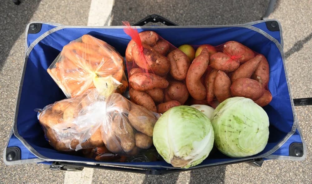 Fresh produce and vegetables